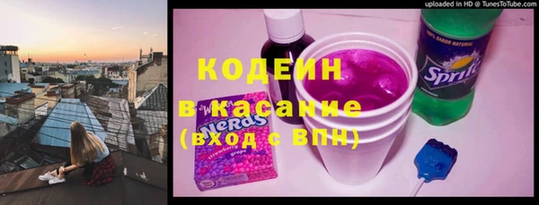 прущие грибы Алзамай