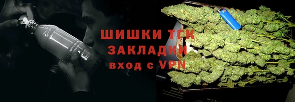 прущие грибы Алзамай