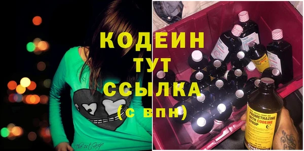 прущие грибы Алзамай