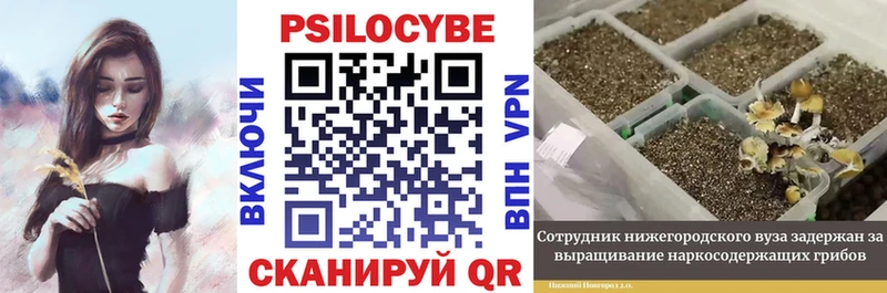 Галлюциногенные грибы прущие грибы  даркнет сайт  Шелехов 